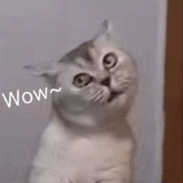 Meme gấu trúc khó hiểu