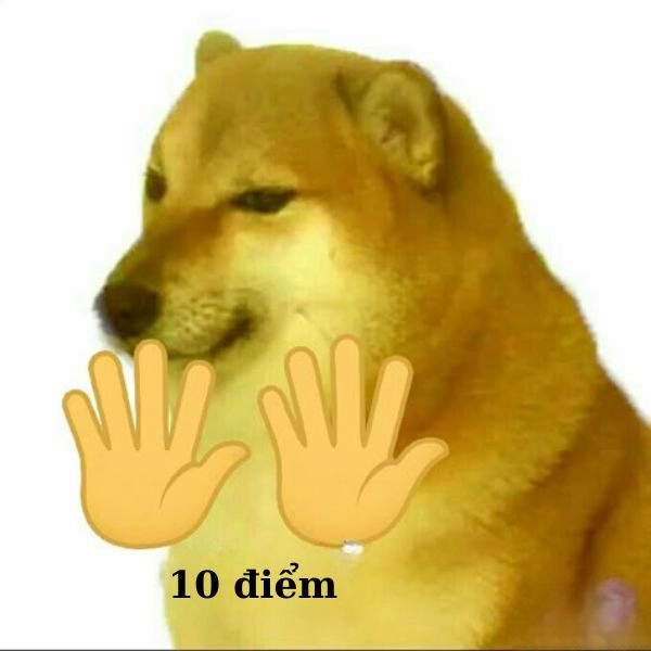 Meme hài bựa không hồi kết
