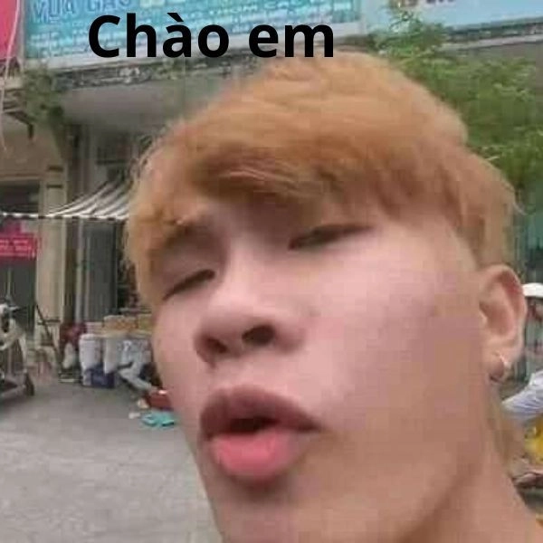 Meme mặt bựa troll