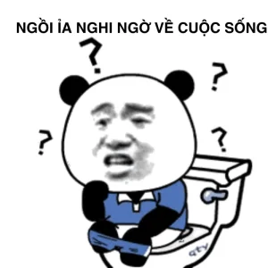 Meme mặt nghi ngờ chất lừ