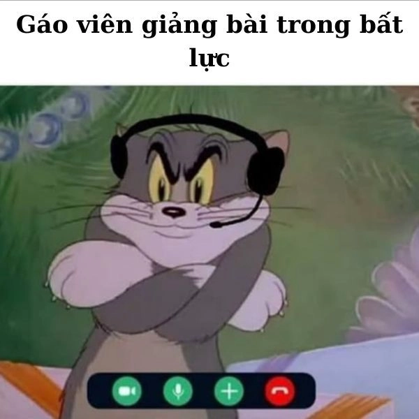 Meme mèo Tom biểu cảm hài