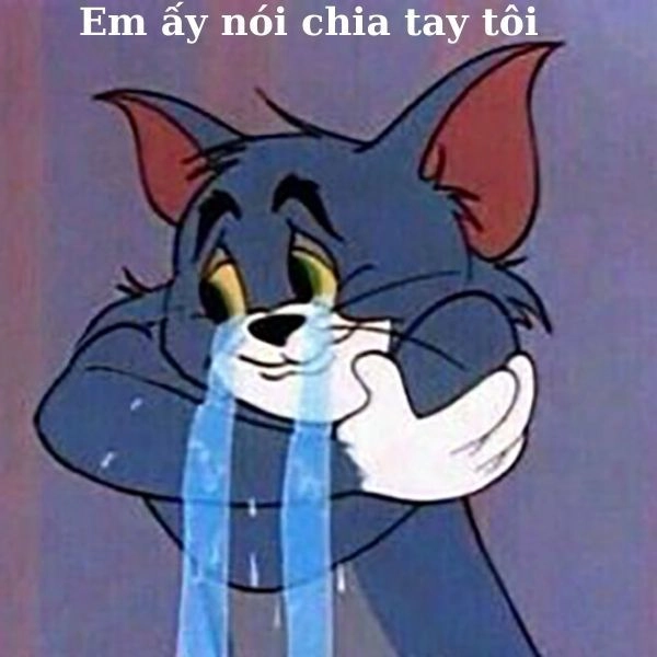 Meme mèo Tom buồn bã