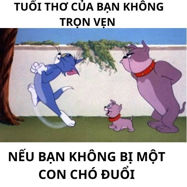 Meme mèo Tom và Jerry vui nhộn