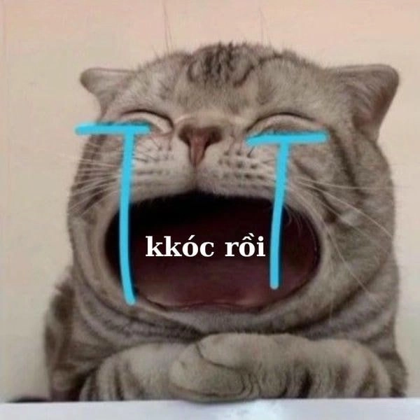 Meme mèo buồn khóc cute