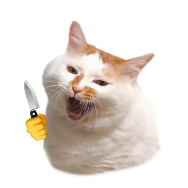 Meme mèo dễ thương mọi thời đại