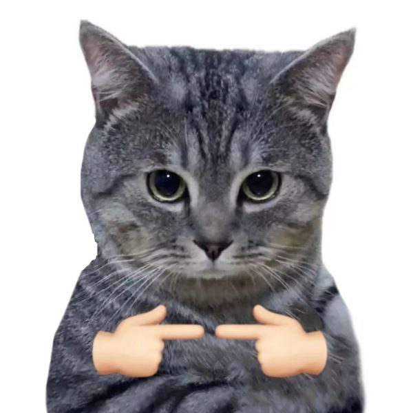 Meme mèo hài chế chất