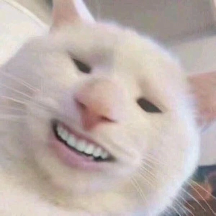 Meme mèo hài hước