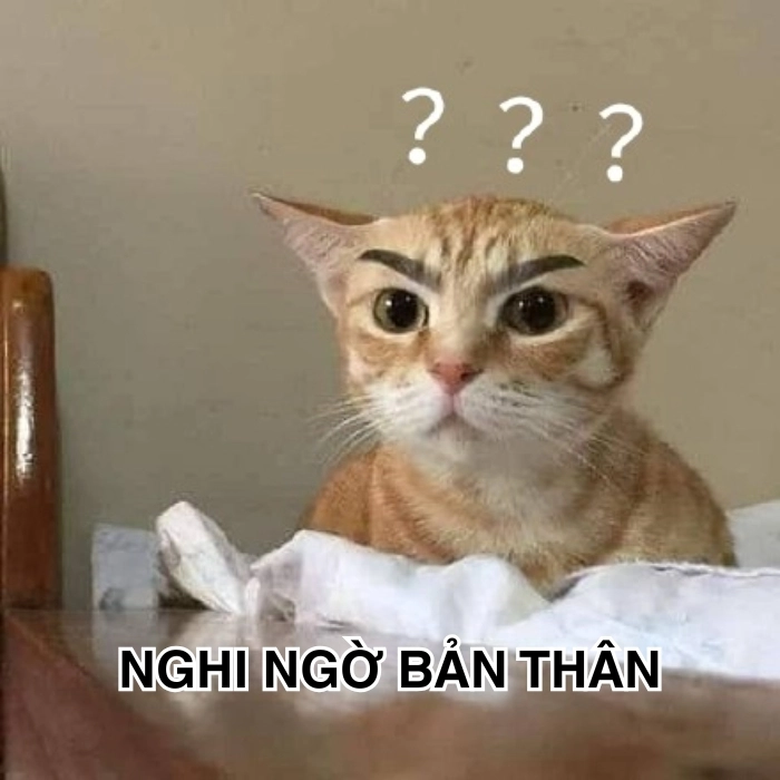 Meme mèo nghi ngờ chán chường