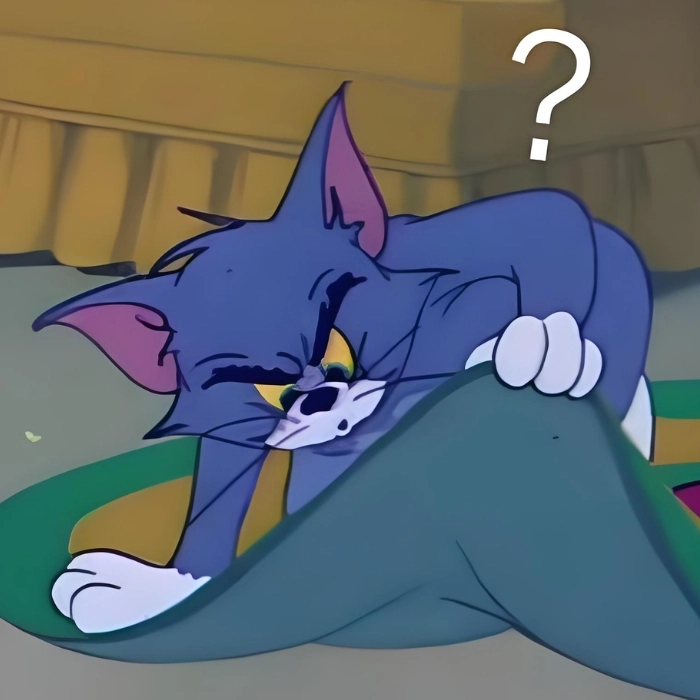 Meme mèo nghi ngờ chuyện đời