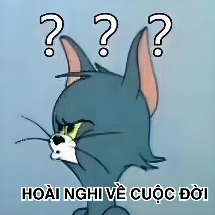 Meme mèo nghi ngờ xinh xỉu