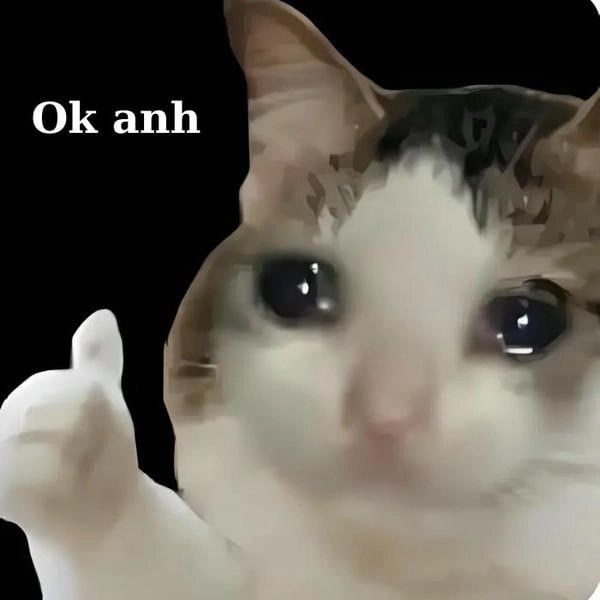 Meme mèo rưng rưng