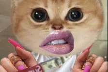 Tuyển tập 511+ meme slay thần thái cực trend mới nhất