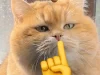 Top 214+ hình ảnh meme suỵt im lặng hài hước cực mặn mòi