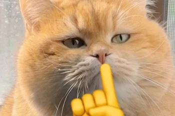 Top 214+ hình ảnh meme suỵt im lặng hài hước cực mặn mòi