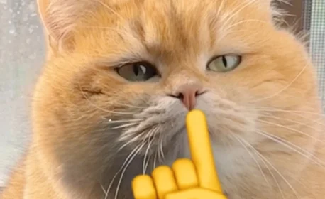 Top 214+ hình ảnh meme suỵt im lặng hài hước cực mặn mòi