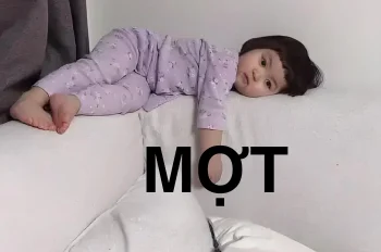 Tổng hợp meme mệt mỏi: Khi năng lượng tụt còn 1%