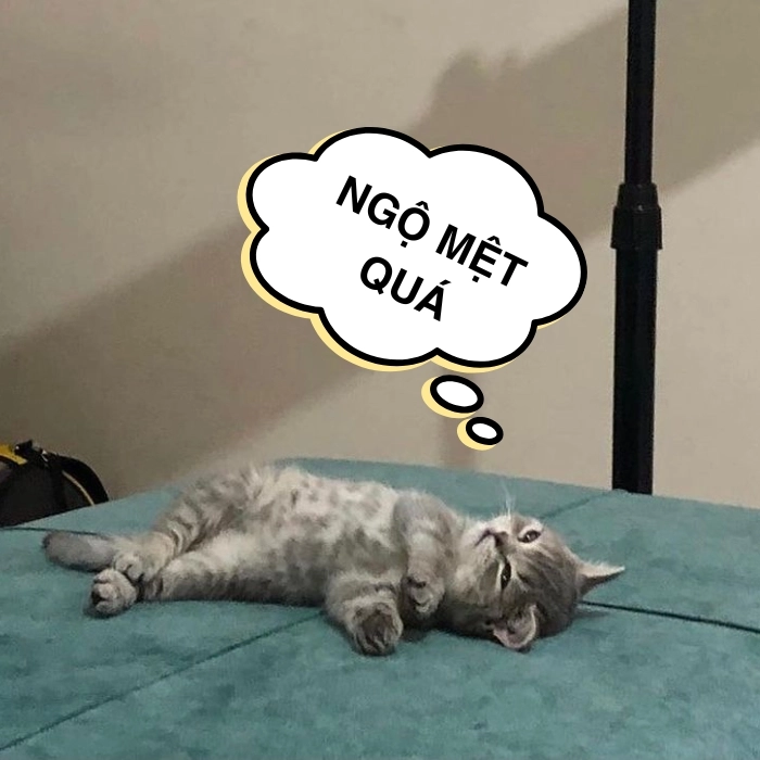 Meme mệt vì công việc ngập đầu