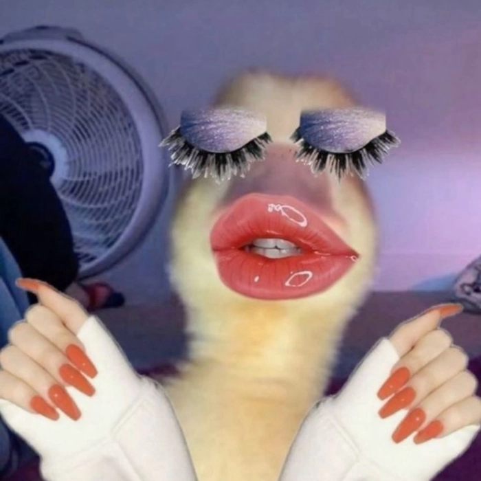 Meme slay không nói cũng hiểu