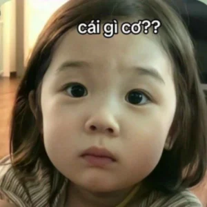 Meme what is happening