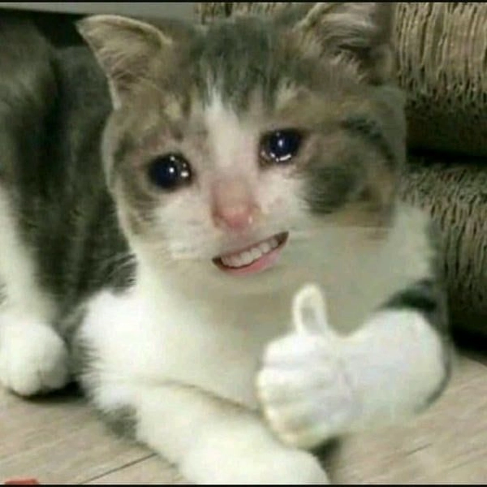 Mèo cười đểu