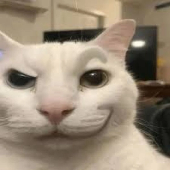 Mèo meme cười nham hiểm