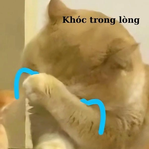 Mèo meme khóc vì lương thấp