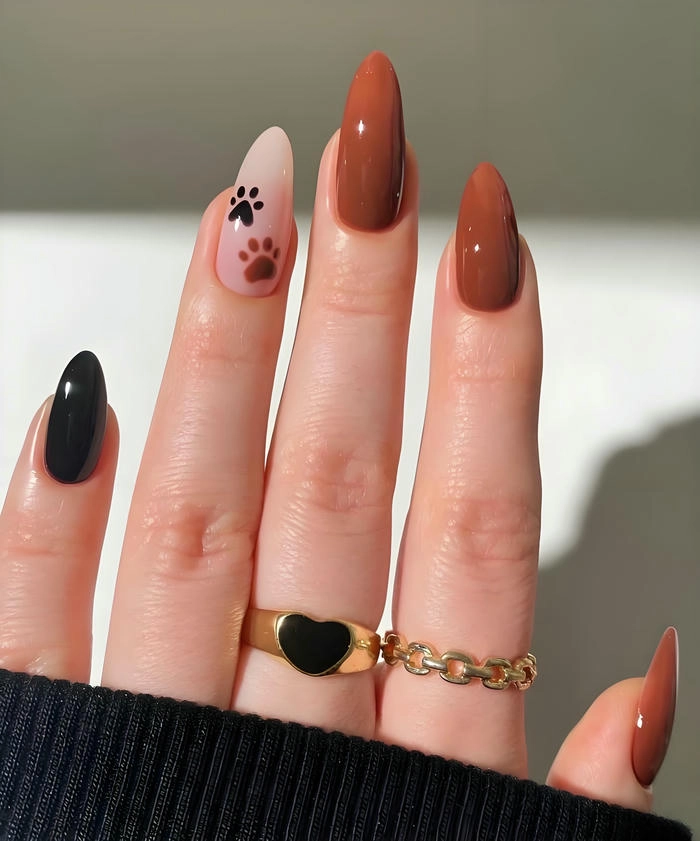 Nail bàn chân chó lạ mắt