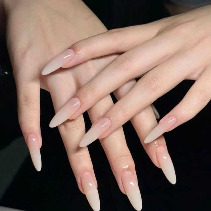 mẫu nail đơn giản sang trọng phối màu ombre