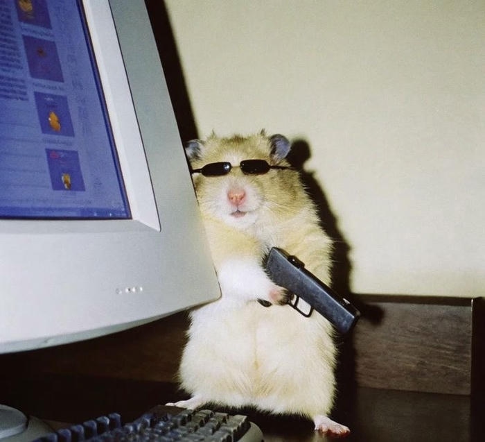 Ảnh meme chuột cầm súng