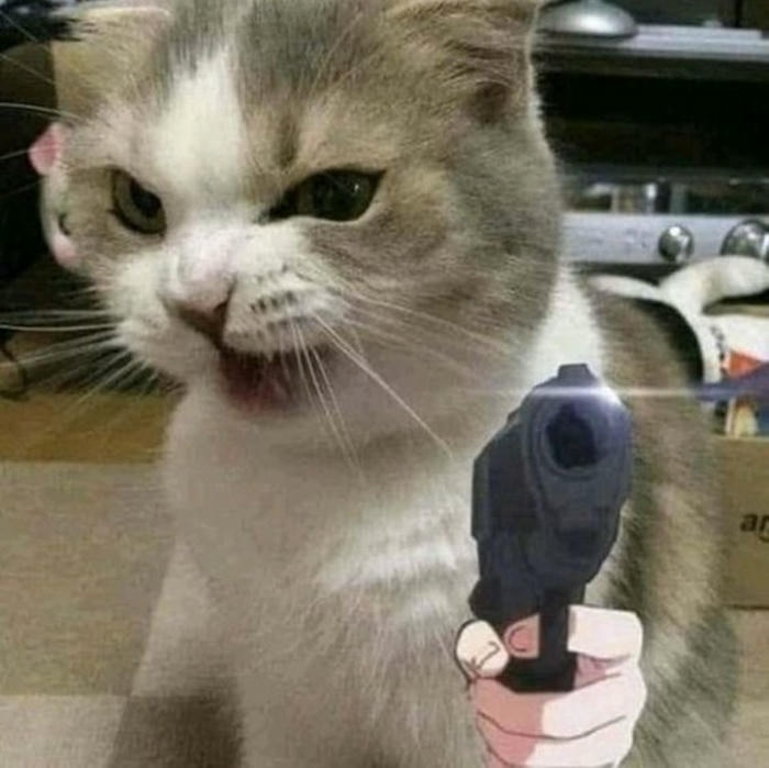 Ảnh meme con mèo cầm súng