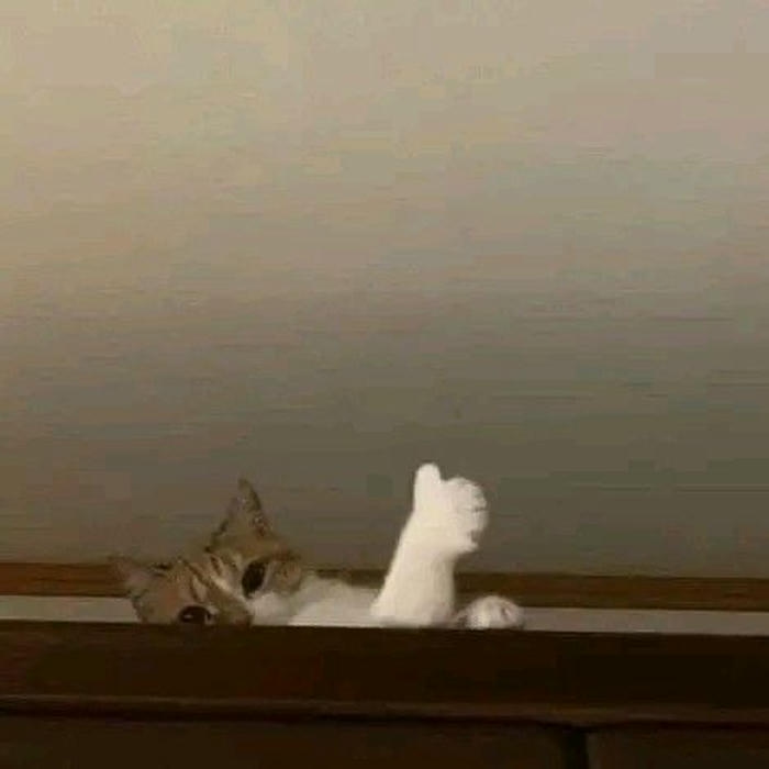 Be like meme vui nhộn