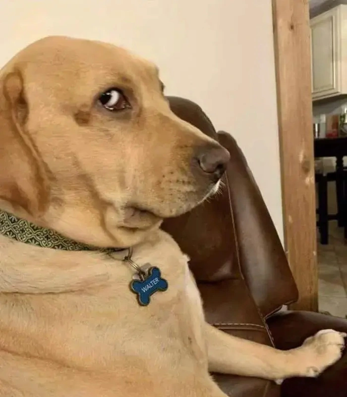 Cô gái meme liếc mắt nghiêng nhìn đầy ẩn ý và lém lỉnh
