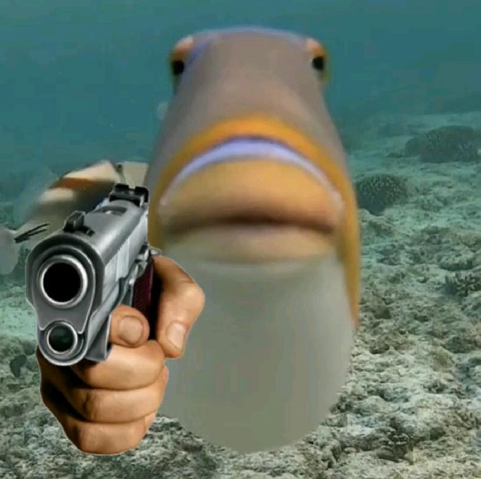 Meme cầm súng vui