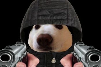 130+ meme cầm súng vừa căng vừa hài, xem là nghiện