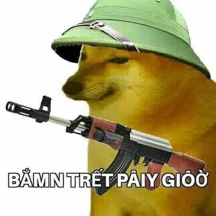 Meme chó cầm súng hài