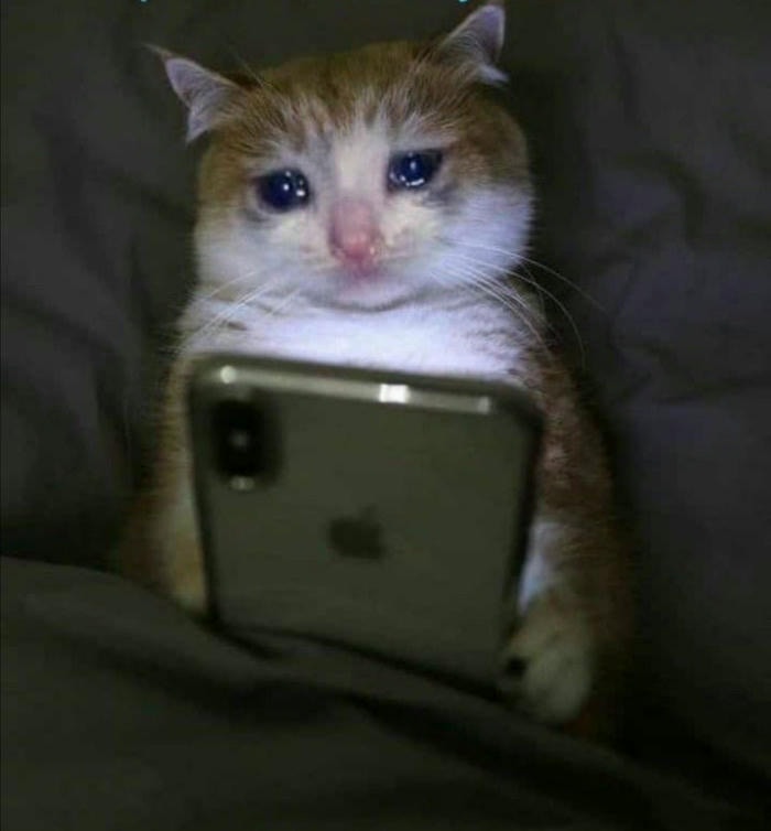 Meme chờ đợi gây cười tự nhiên