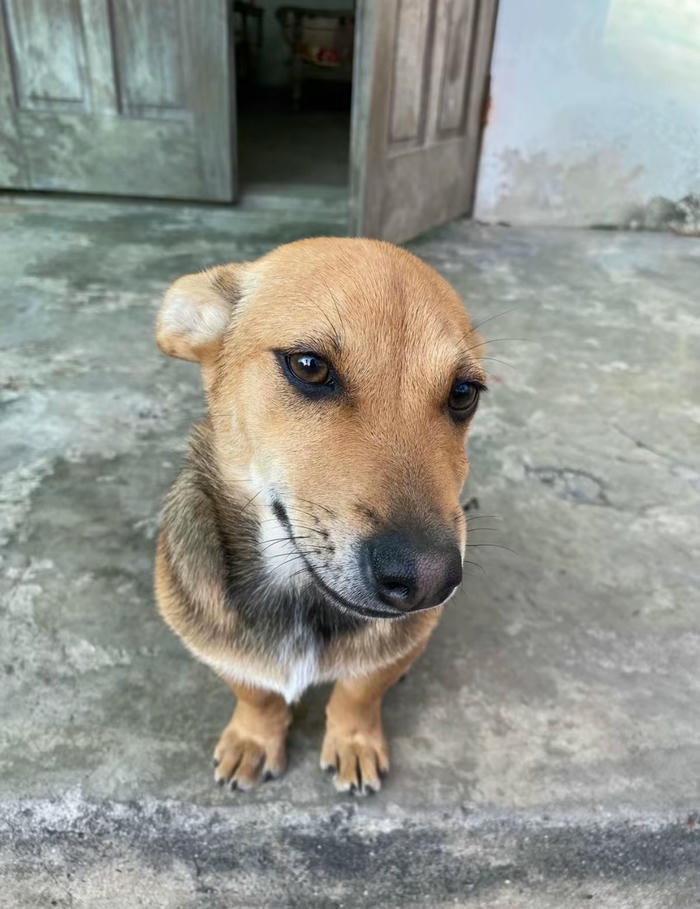 Meme liếc mắt sắc lạnh