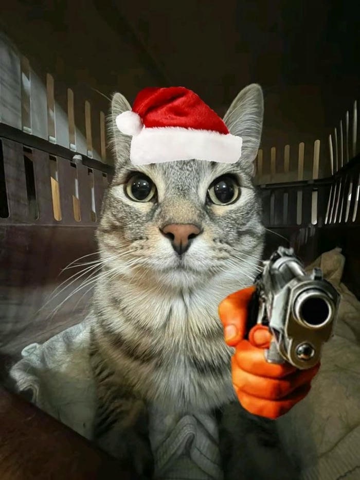 Meme mèo cầm súng cute