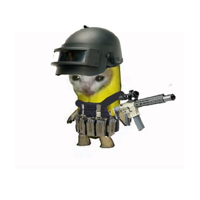 Meme mèo cầm súng đáng yêu