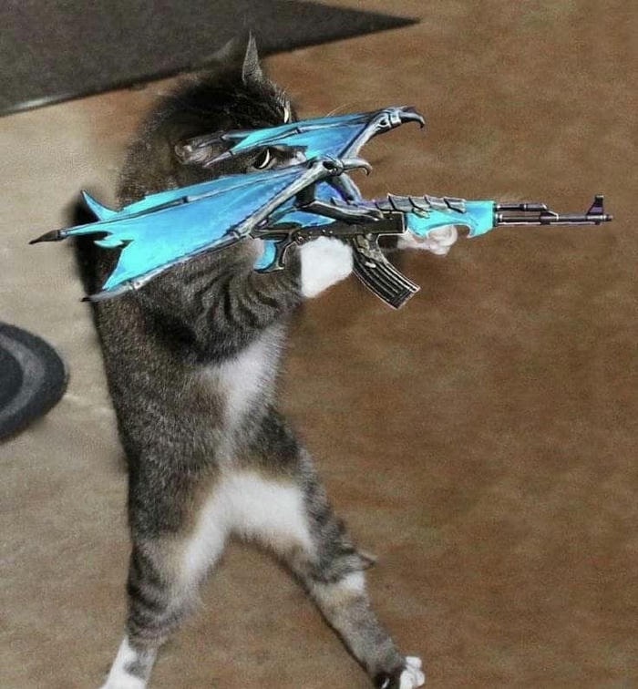 Meme mèo cầm súng hài