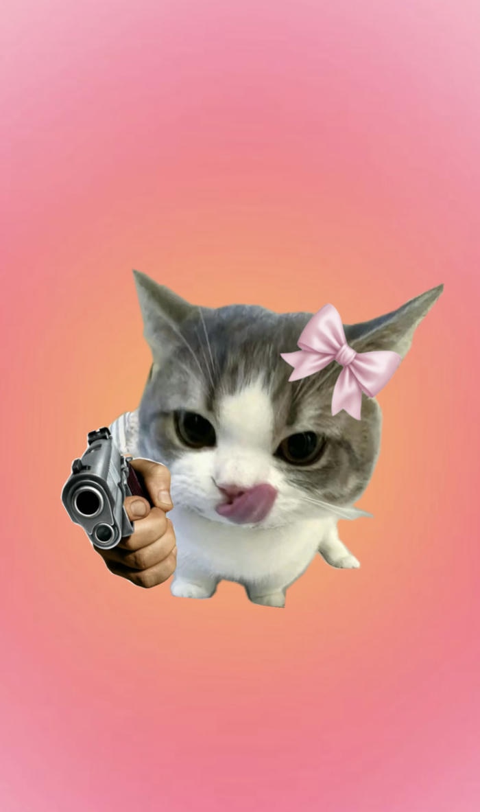 Meme mèo cầm súng ngầu