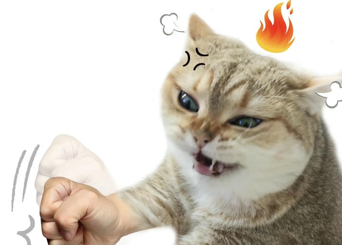 Meme tức giận meme mèo
