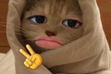 110+ meme vô tri khiến dân mạng cười ngất vì quá vô hồn