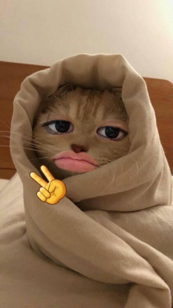 Meme vô tri lan truyền mạnh duyên dáng