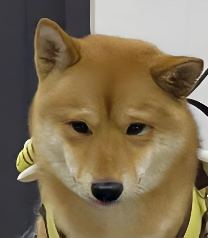 ảnh buồn meme