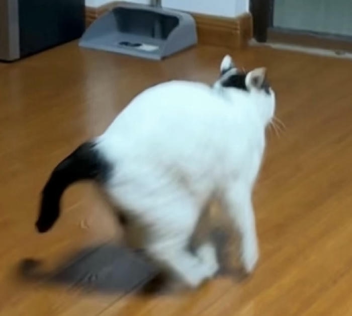 ảnh chế chạy ngay đi meme