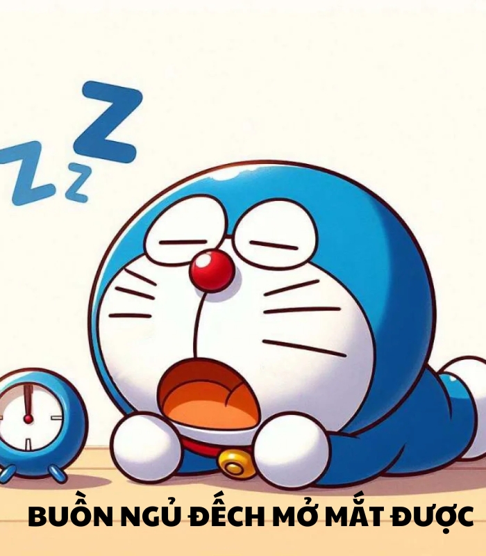 ảnh meme buồn ngủ chế