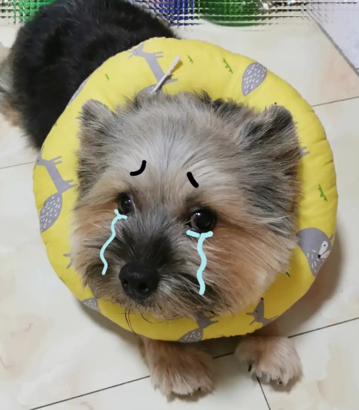 ảnh meme buồn sâu lắng