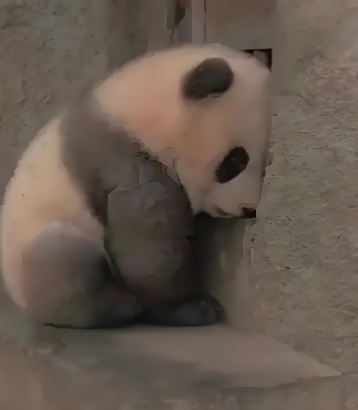 buồn meme