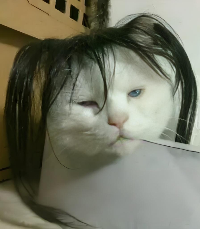hình ảnh meme buồn ngủ